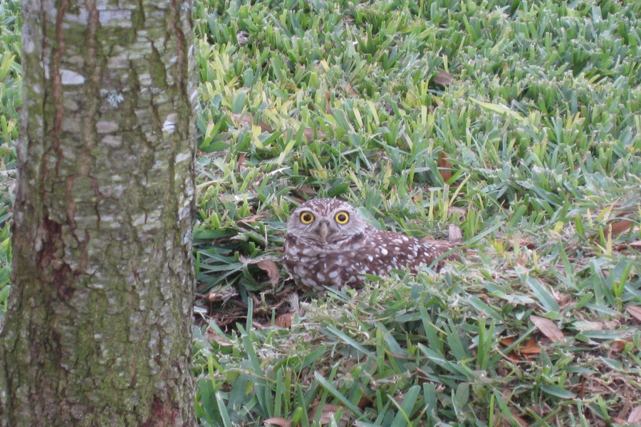 ../image/pre-ceremony 12.jpg